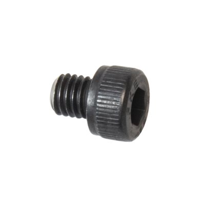 Screw M5x0.8x5.5 (Replaces 0881.0041.4)