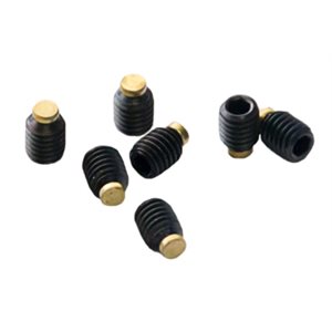 Brass Tipped Allen Screw M8 x 6mm