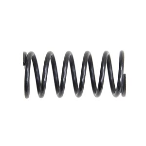 Compression Spring (200-150-0100)